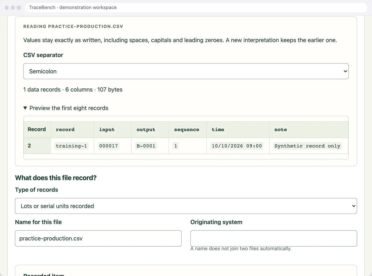 TraceBench preview of the first records of a production file, with the input code 000017 shown exactly as written